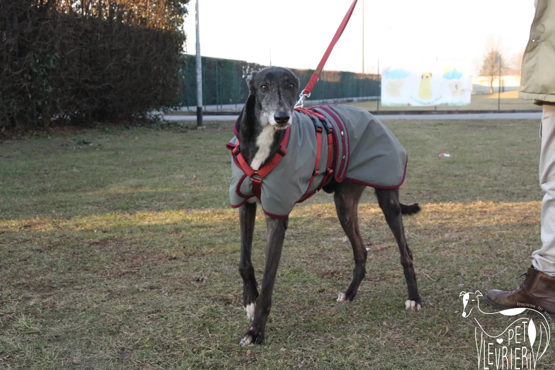 50789999 2085900461493798 5025593262283423744 o