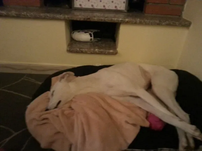 507d06a5146d046e991559df58a3f1de