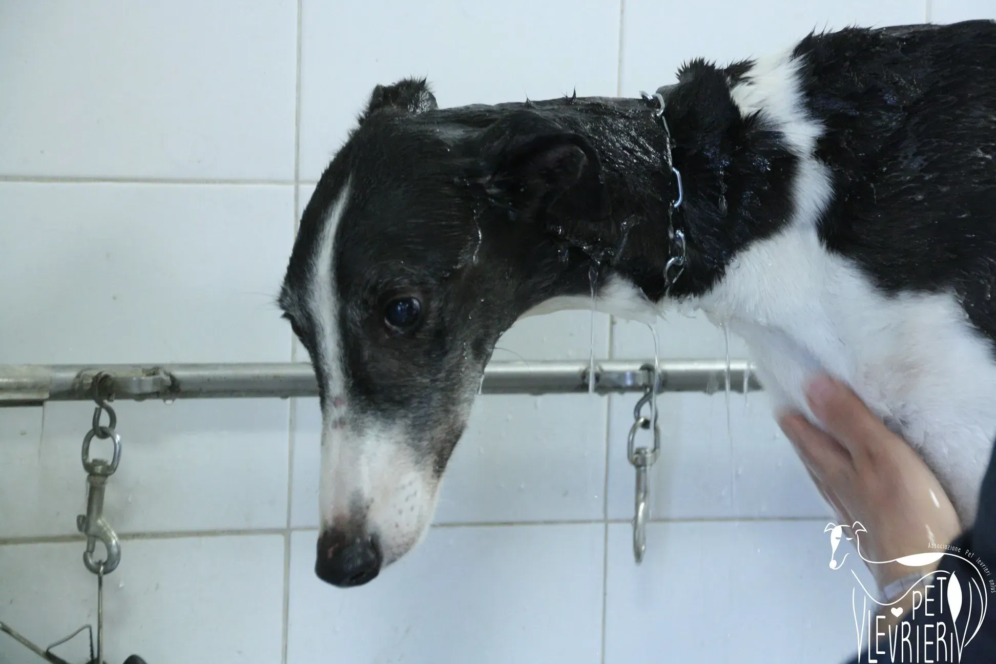 50805288 2085881974828980 3048652762628751360 o