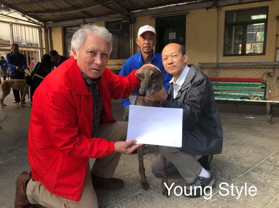 50808973 2089826391101205 7919407102362124288 n