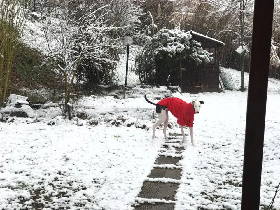 50826166 10215859863404011 3881232447836258304 n