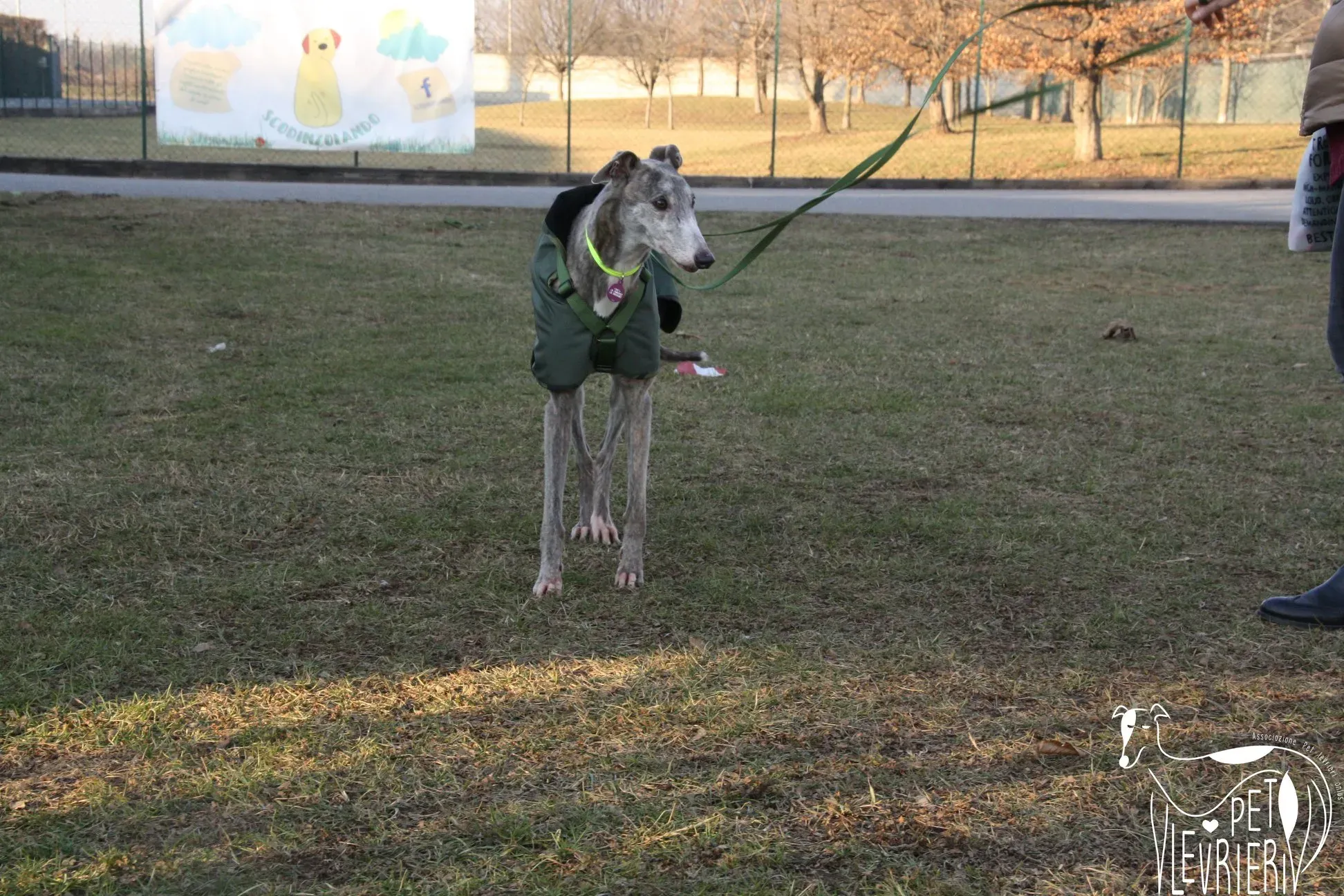 50829548 2085898698160641 345938252525469696 o