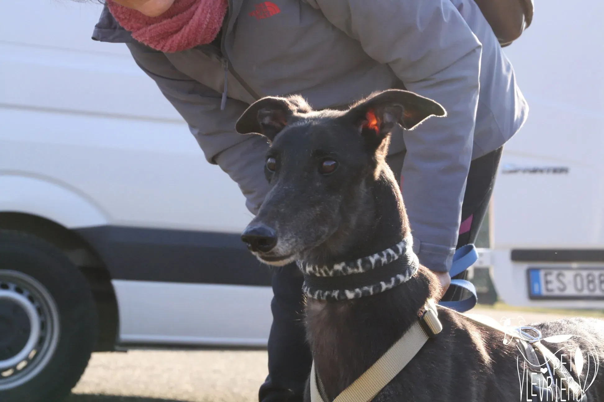 50836330 2085881488162362 1231186202560823296 o