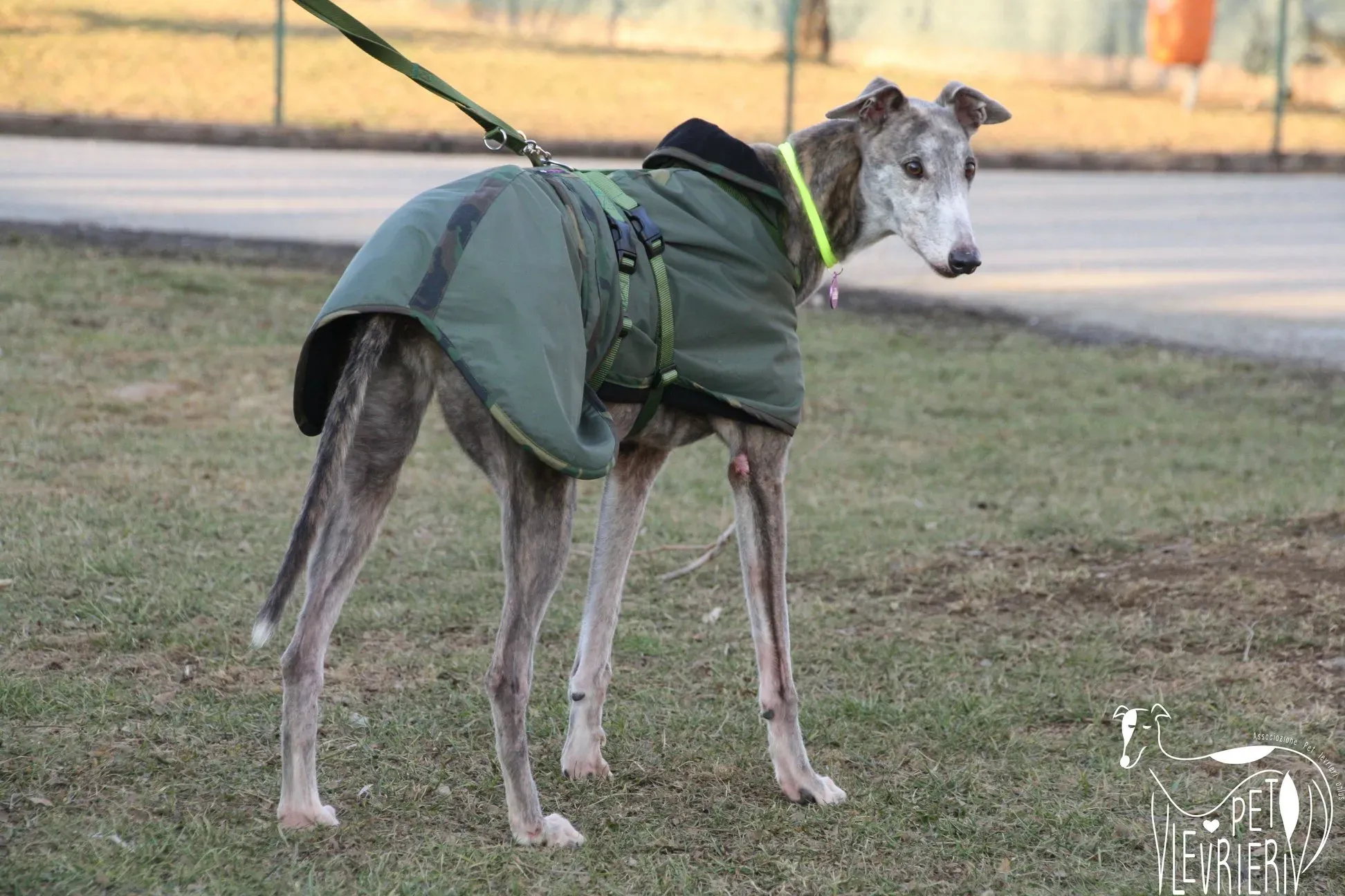 50847859 2085897088160802 2291114668707545088 o