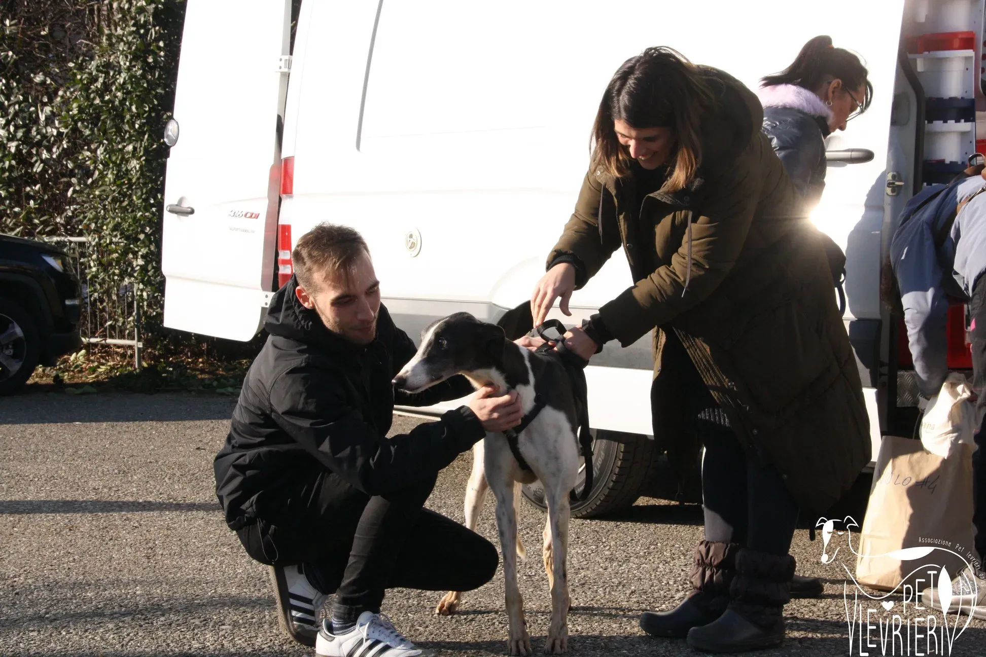 50858156 2085900961493748 4049841151501402112 o