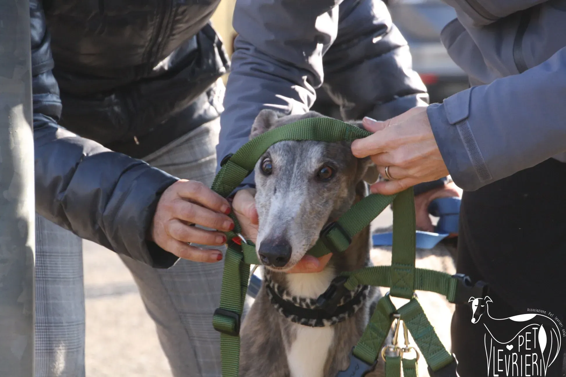 50862994 2085878834829294 9130452145982668800 o