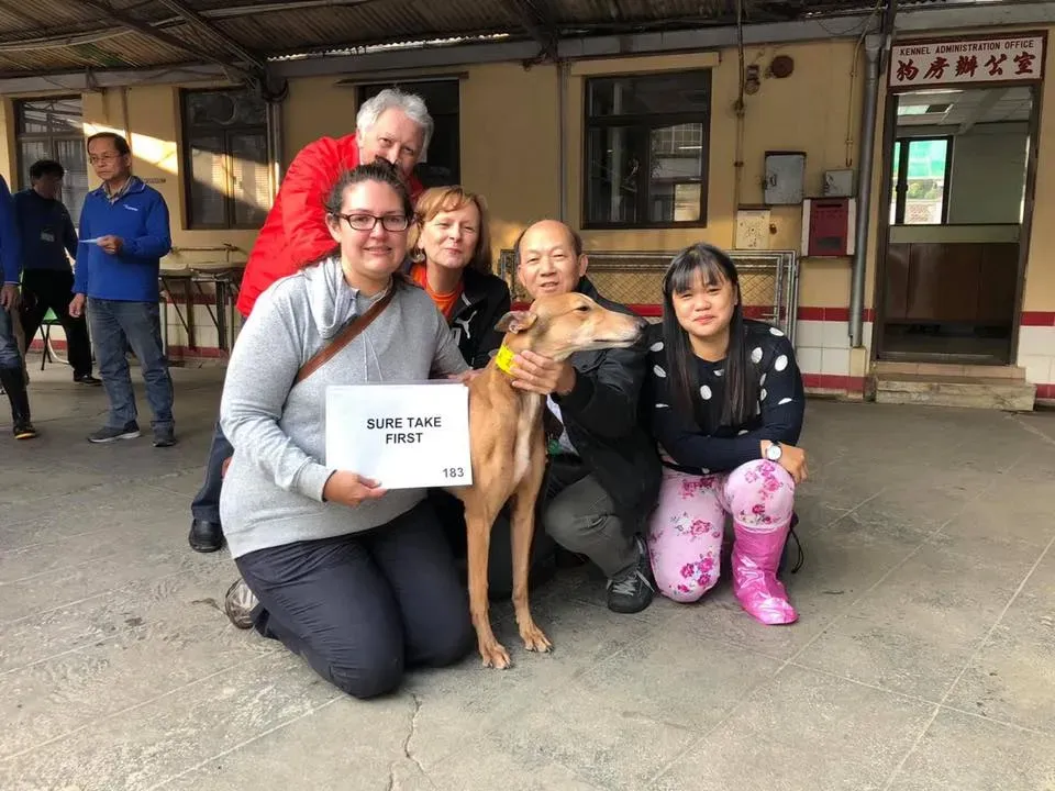 50863680 2080689195348258 4647766221909917696 n