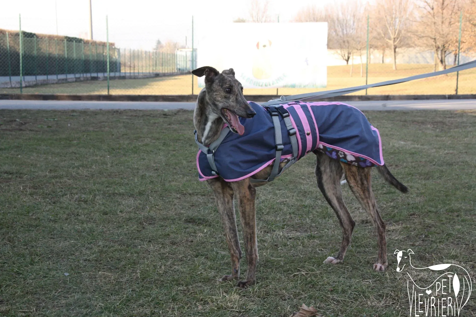 50870202 2085895208160990 4028147168610091008 o