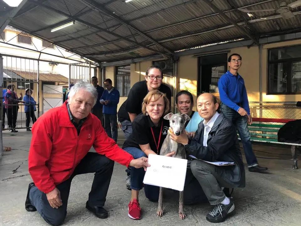 50885285 2083803518370159 8500659766857564160 n