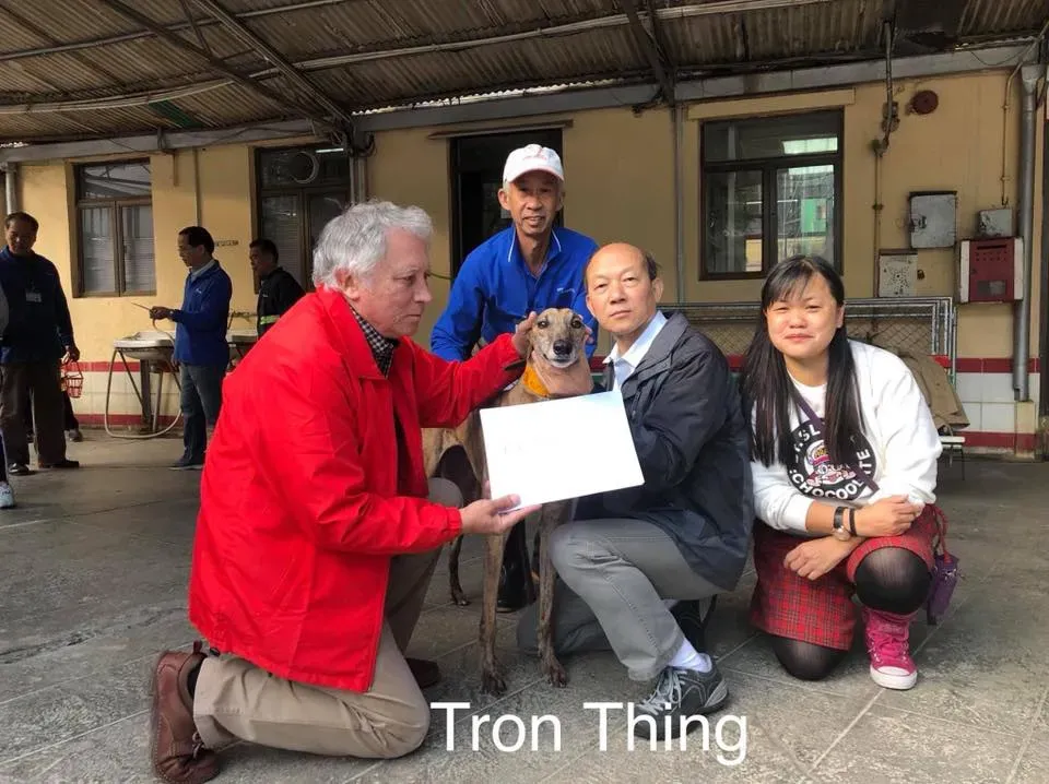 50898595 2089826521101192 5242707952200056832 n