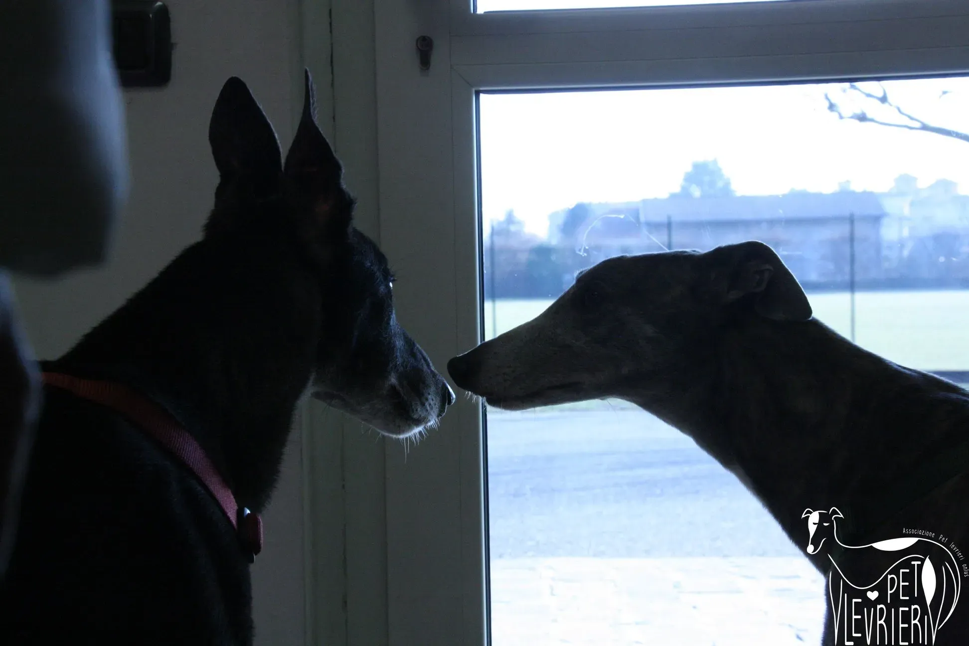 50902090 2085882384828939 1316223445465300992 o