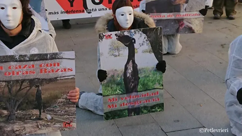 50903695 2099325036818007 3989279591481999360 n