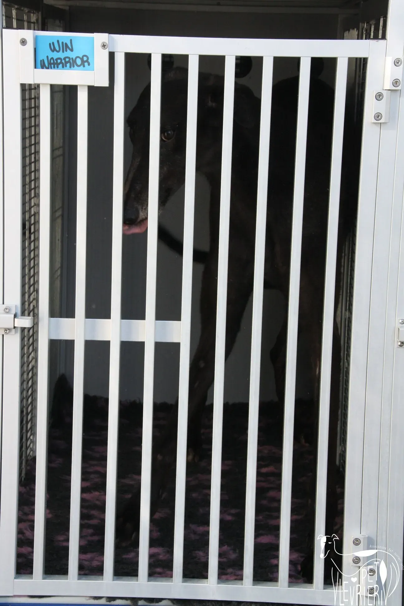 50928443 2085877368162774 784900819462914048 o