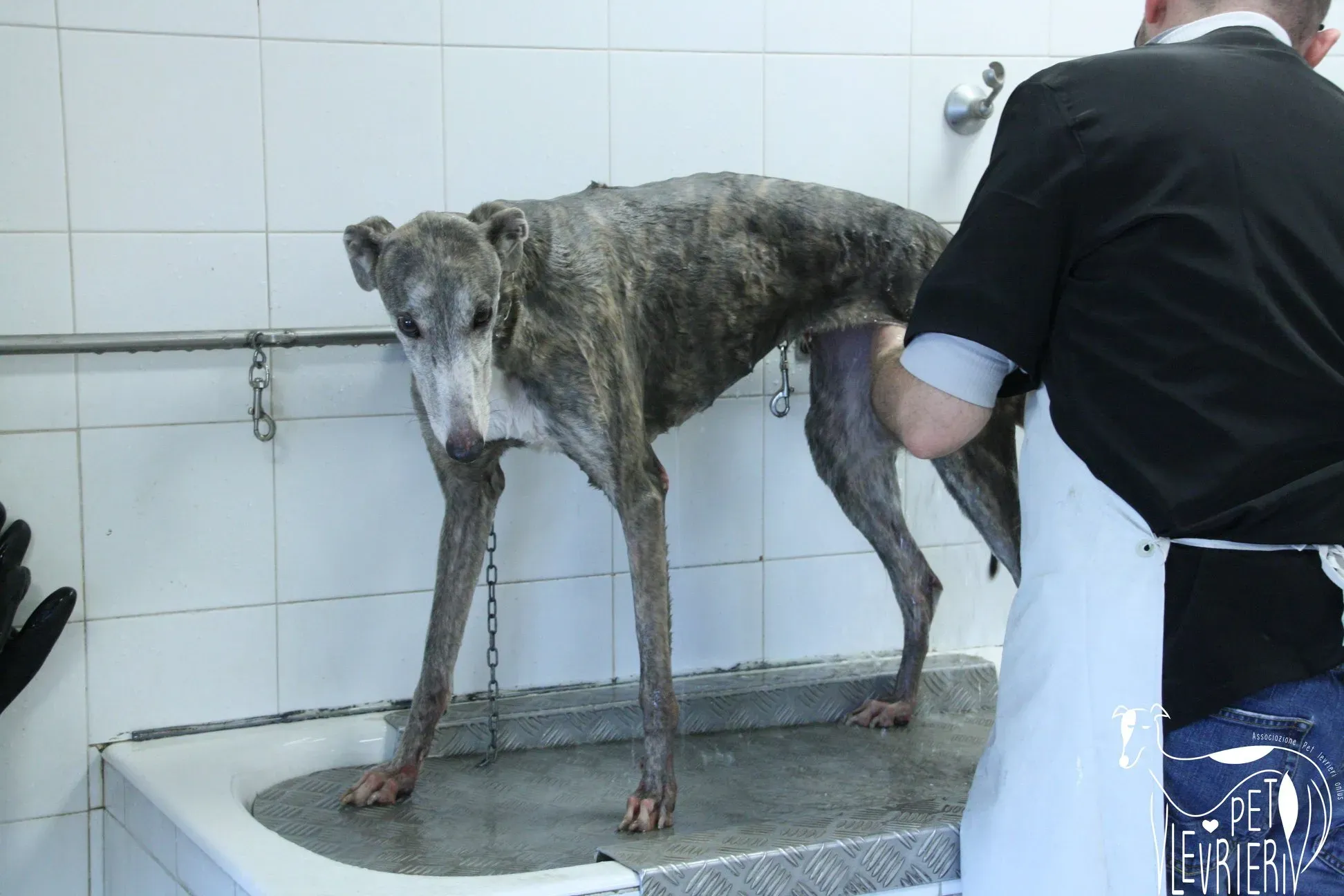 50973542 2085884551495389 1487674975098765312 o