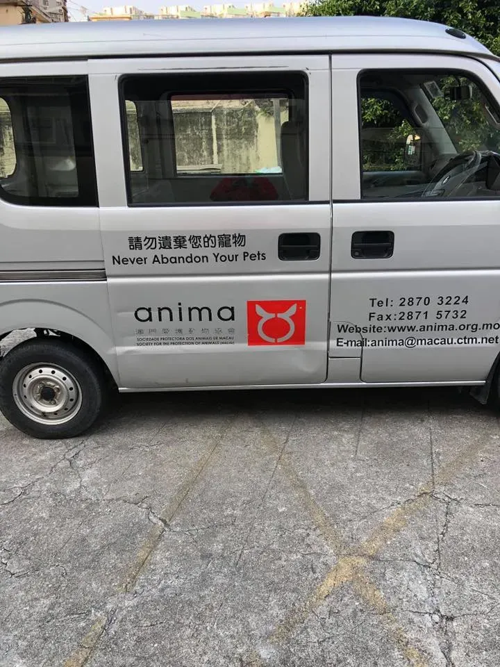 50989079 2083803618370149 6077643478509027328 n