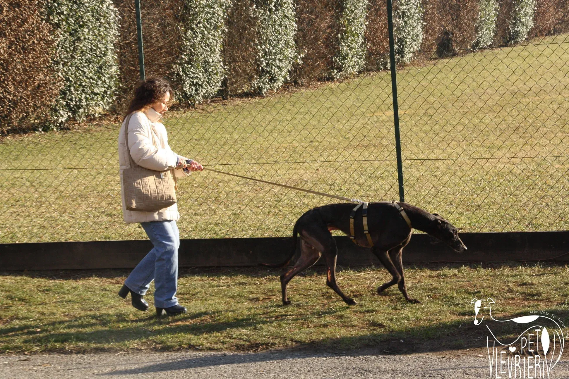 51010800 2085899921493852 7918486295733600256 o