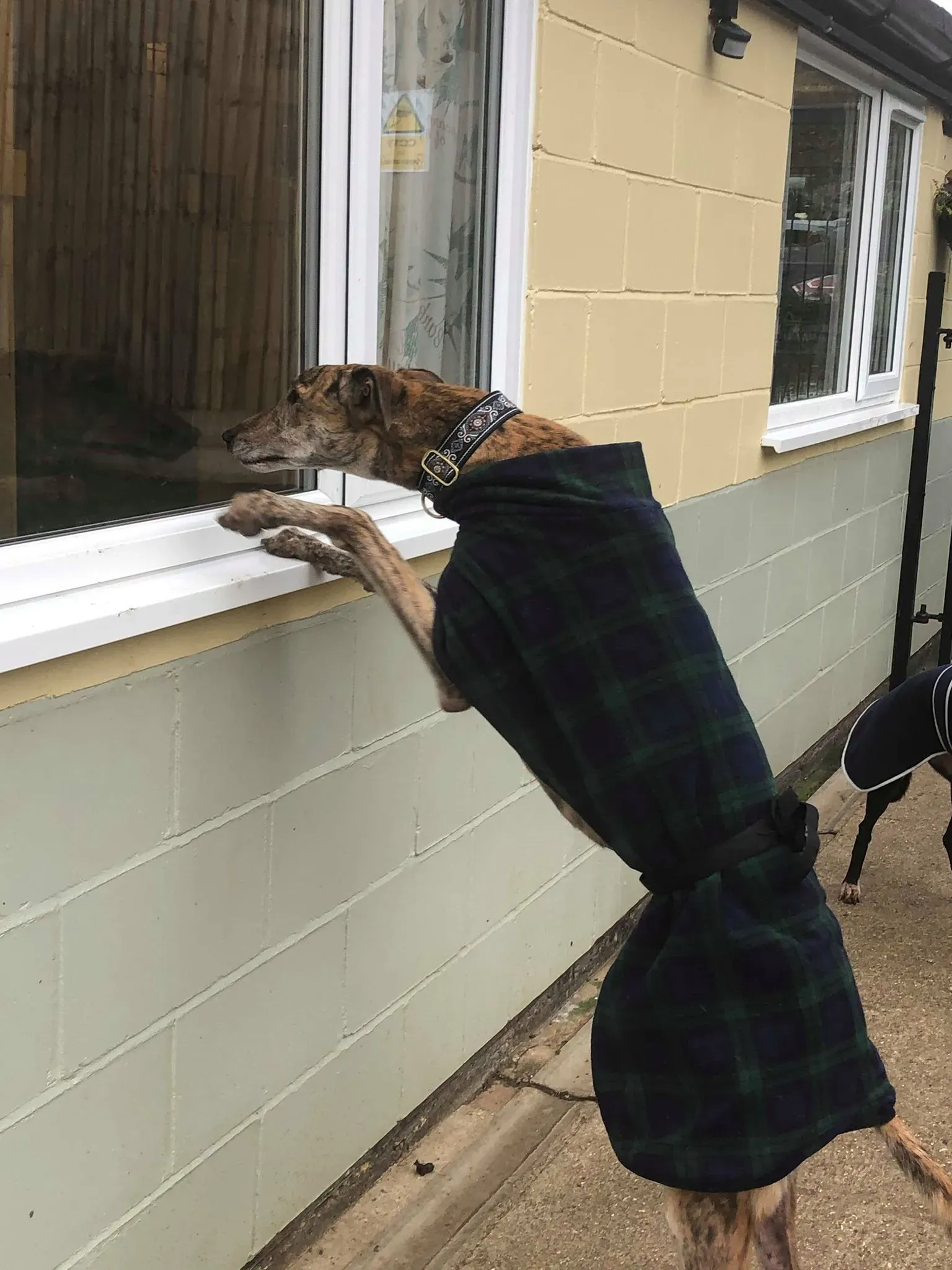 51016074 388777121691509 7805177301754183680 n