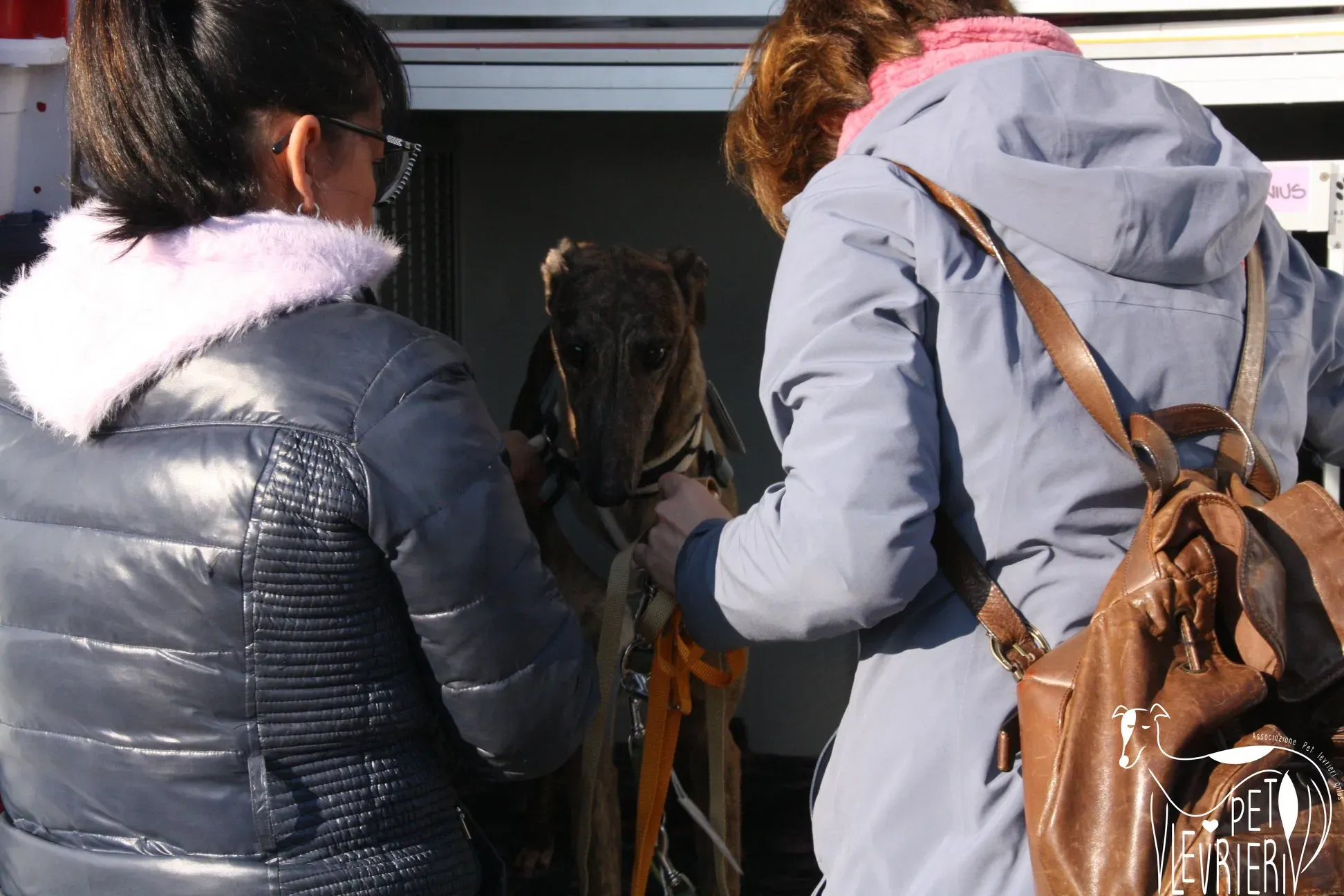 51032915 2085901024827075 8267607677371154432 o