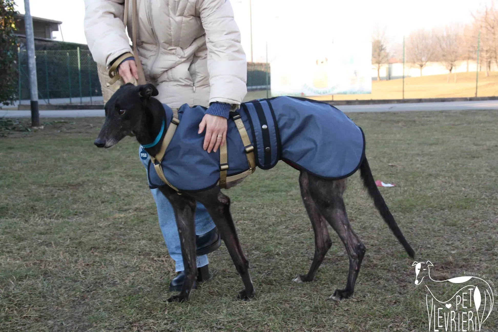 51068786 2085896014827576 6425965708466716672 o