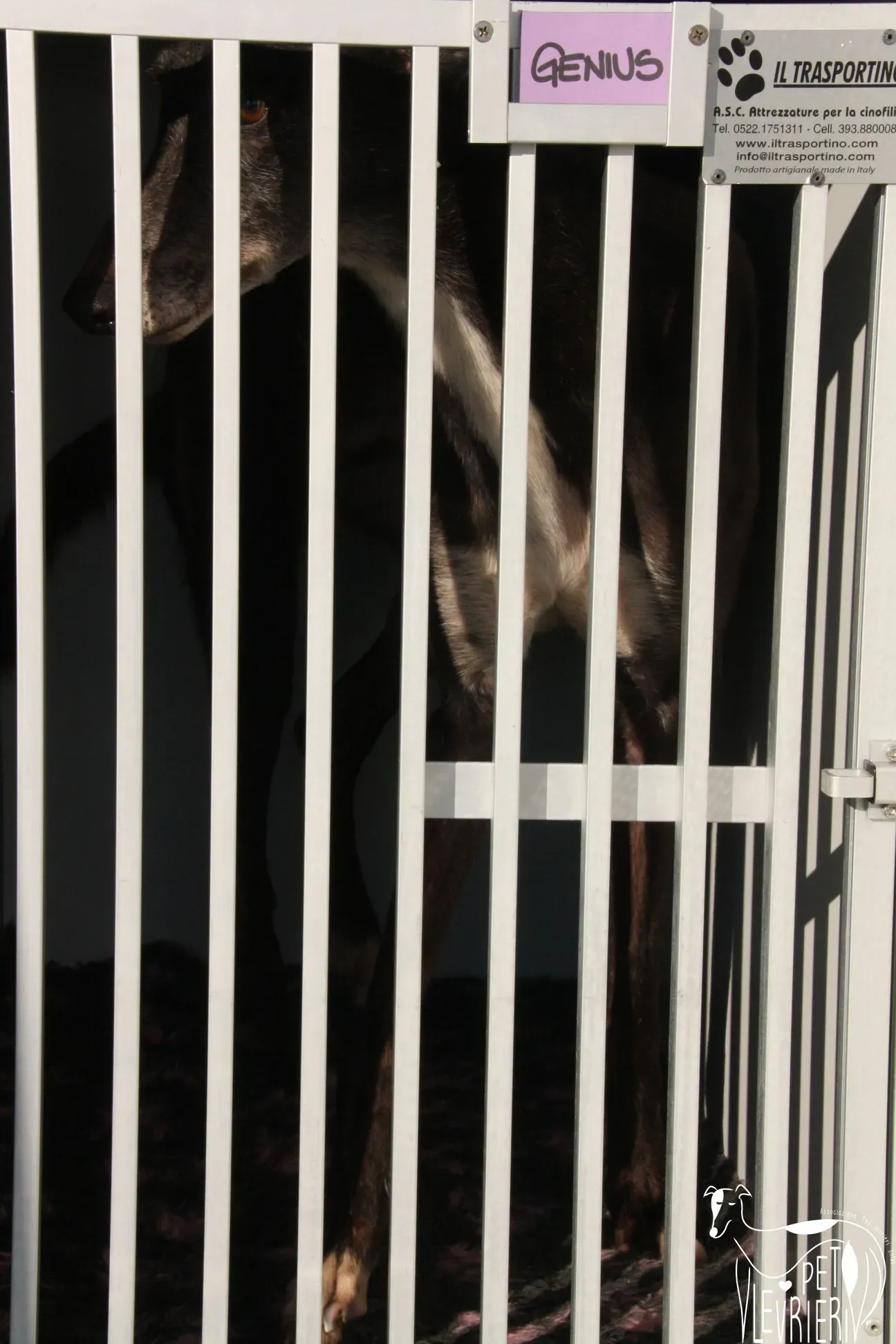 51077023 2085878218162689 4656337494869016576 o