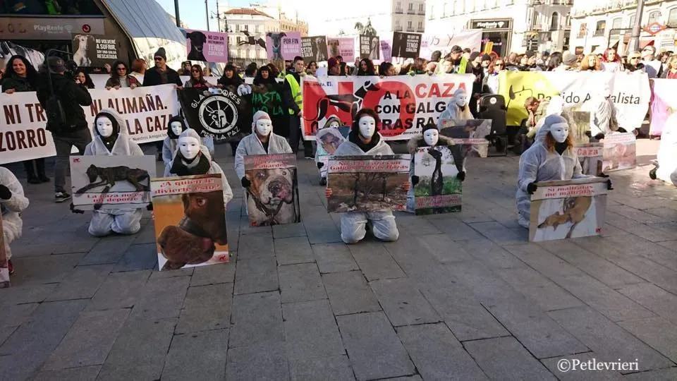 51094538 2099325043484673 6992937705487204352 n