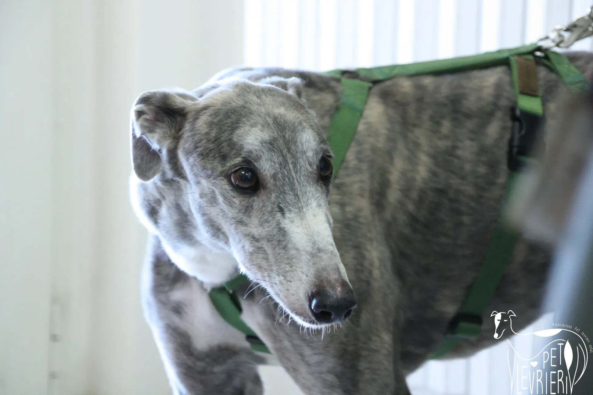 51145440 2085882291495615 1477579285102329856 o