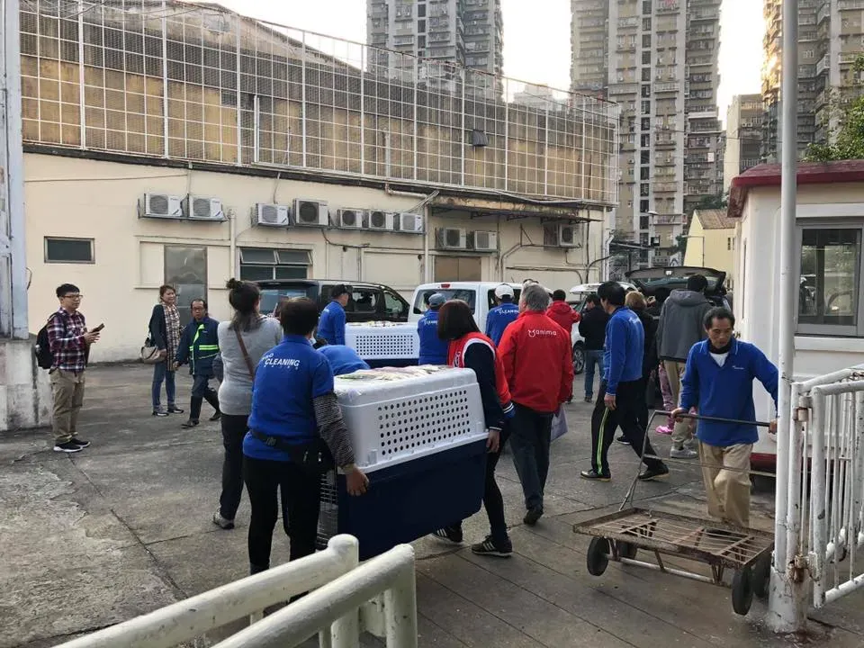 51161364 2080689305348247 6910528664740298752 n