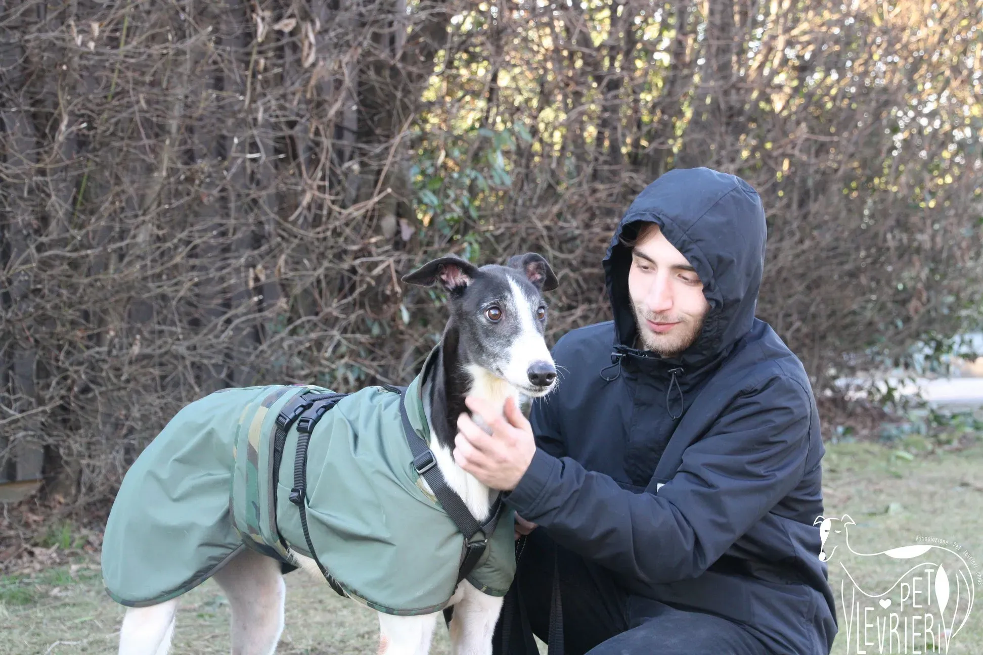 51178856 2085894088161102 98213596978216960 o