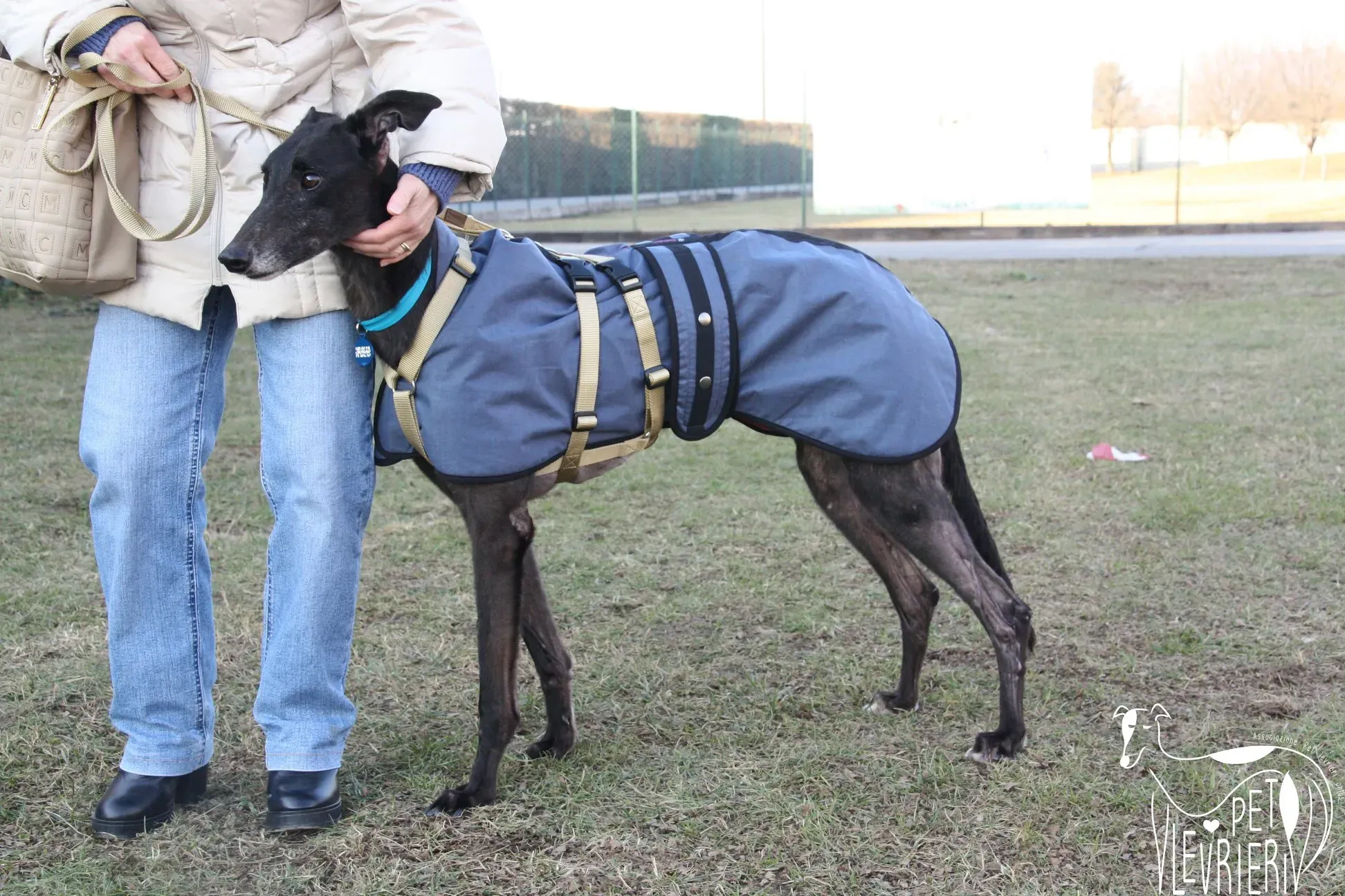 51178904 2085896454827532 4153718981414354944 o