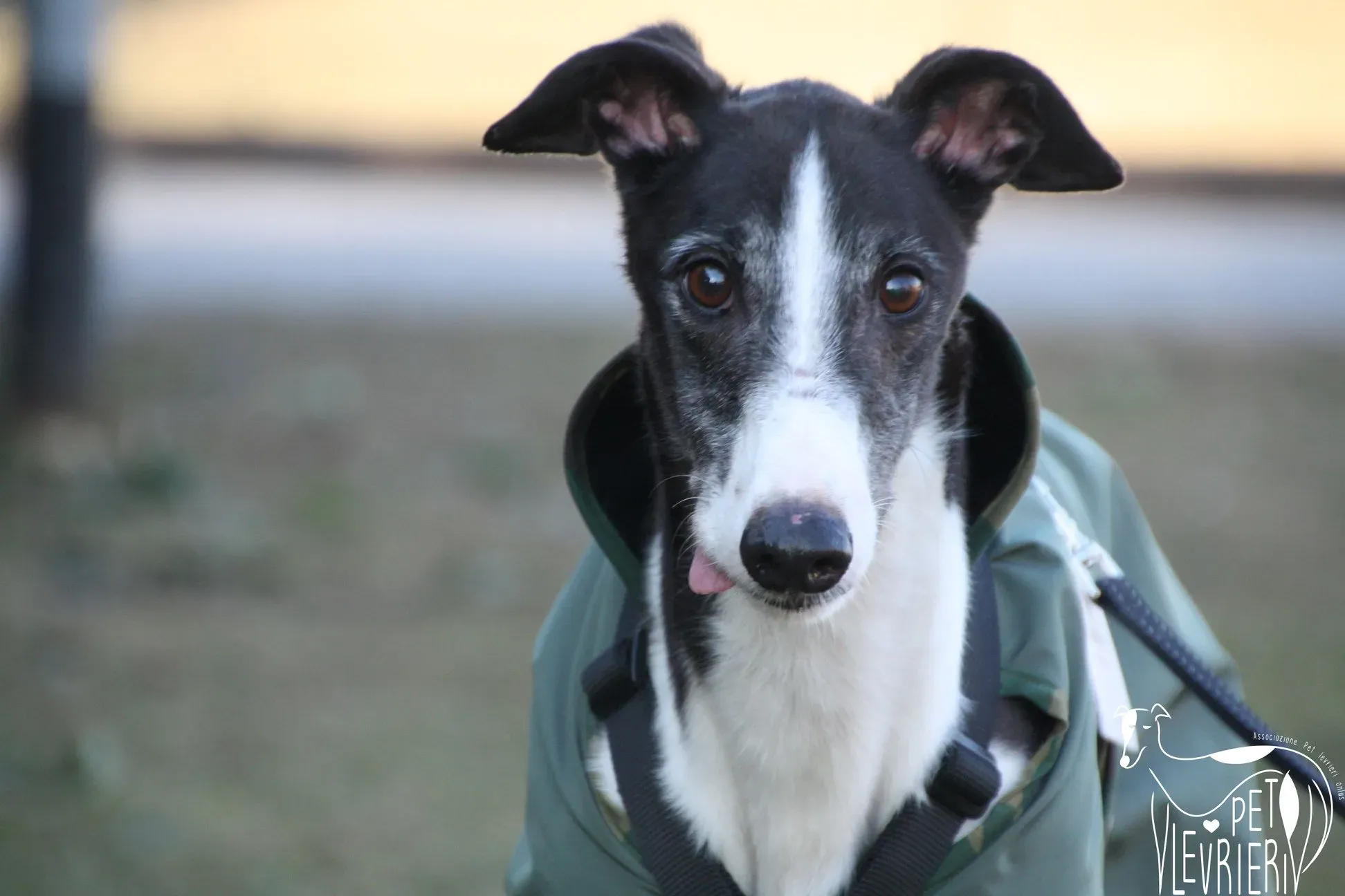 51193442 2085883344828843 3793942241181958144 o