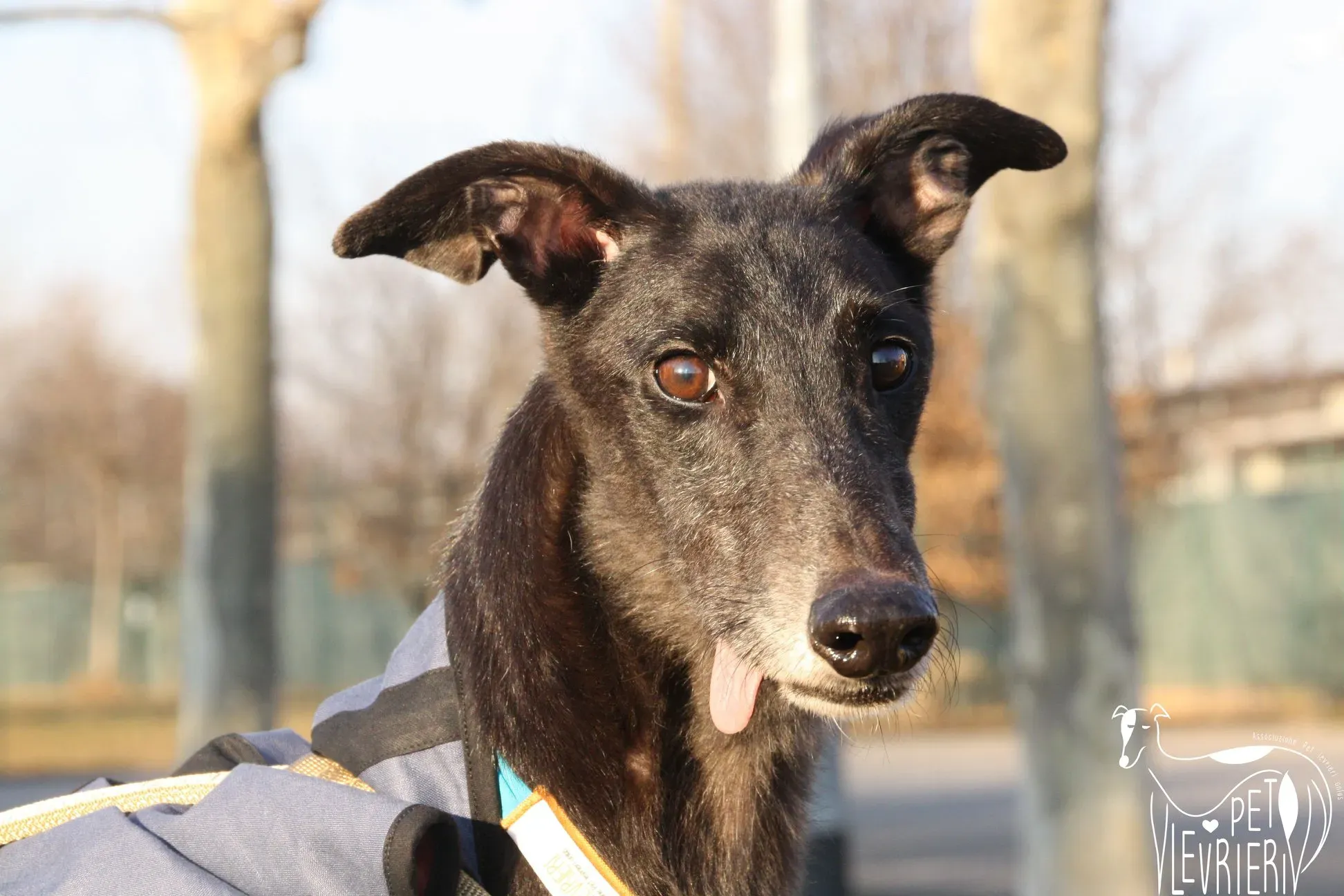 51193533 2085887888161722 2402695488106135552 o