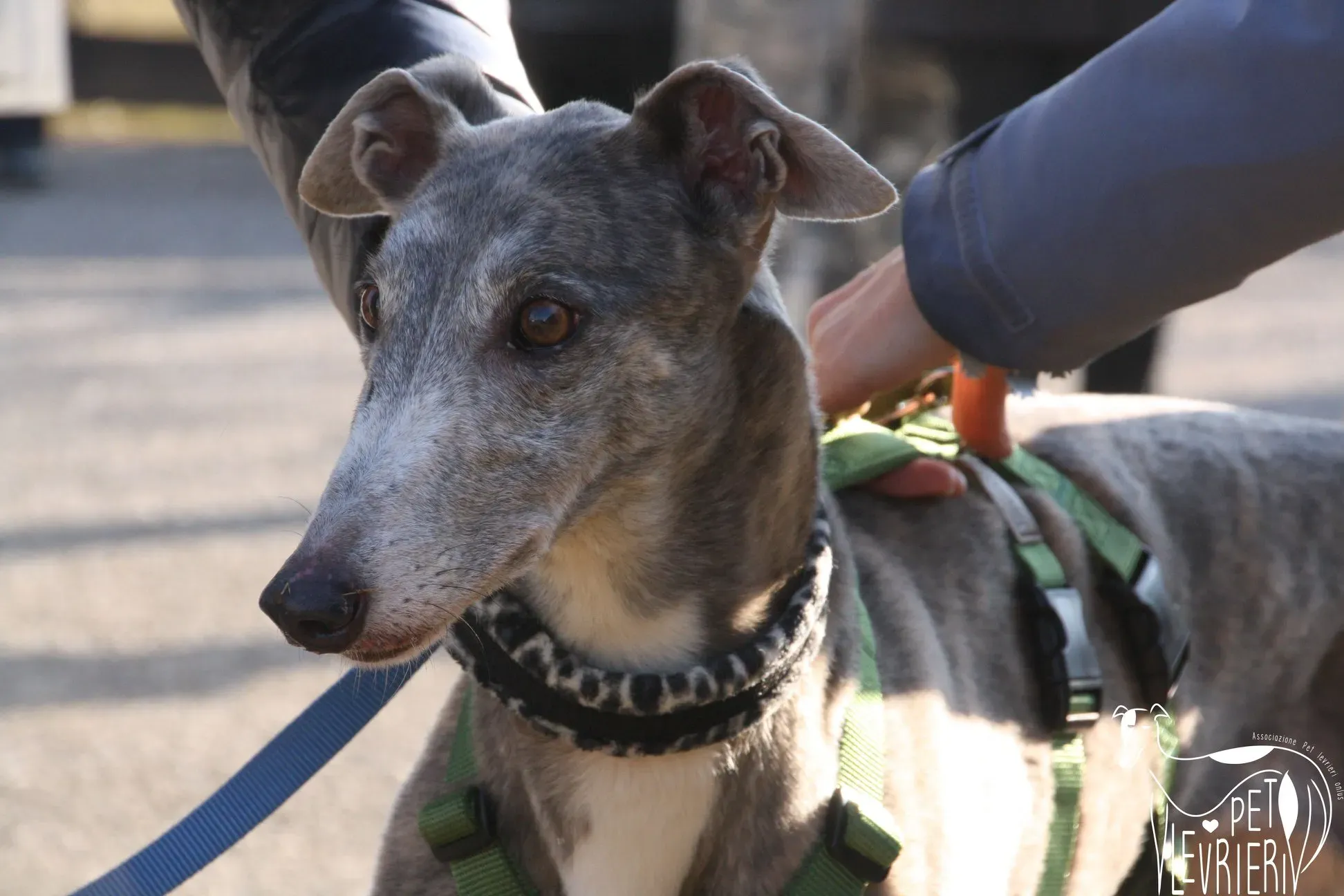 51208985 2085878981495946 75143394896117760 o