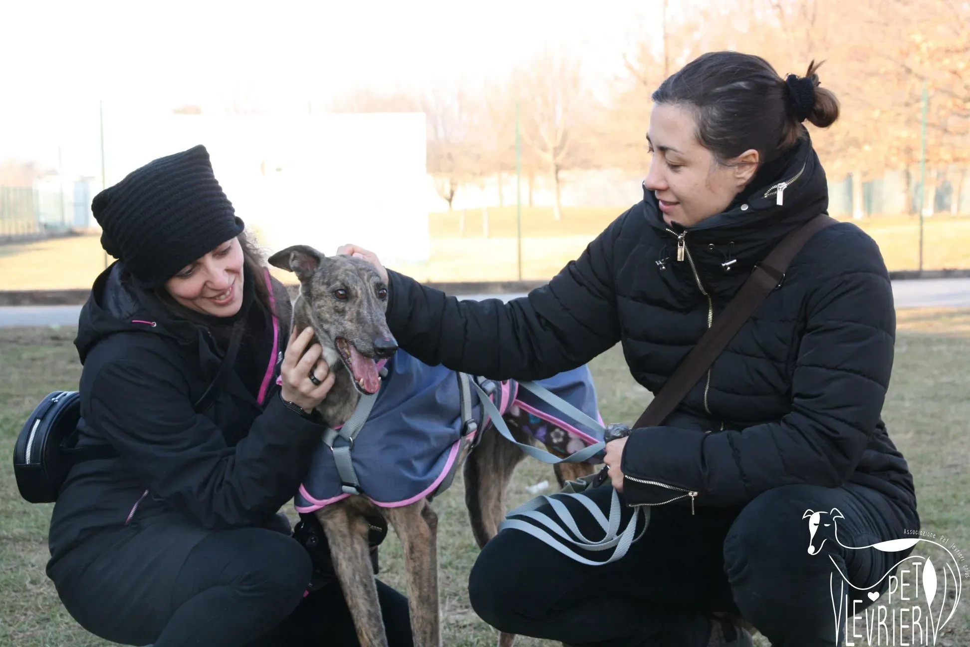 51212033 2085885114828666 6825293303584391168 o