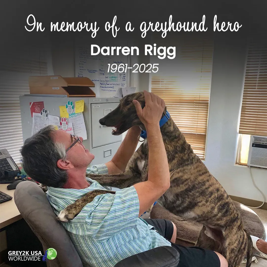 512167208 1019795546986200 3790763074814480401 n