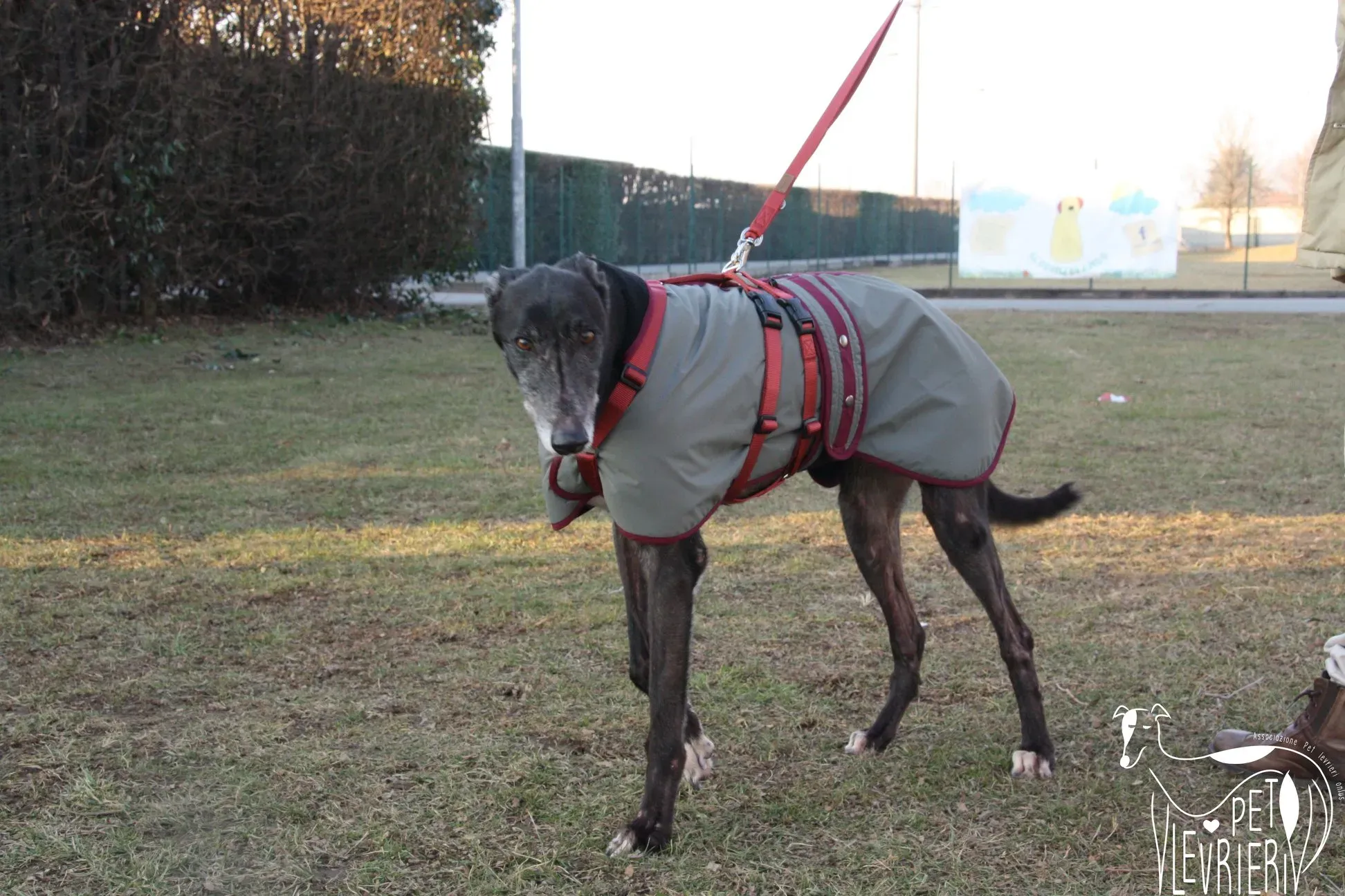 51223883 2085899768160534 2123620839768195072 o