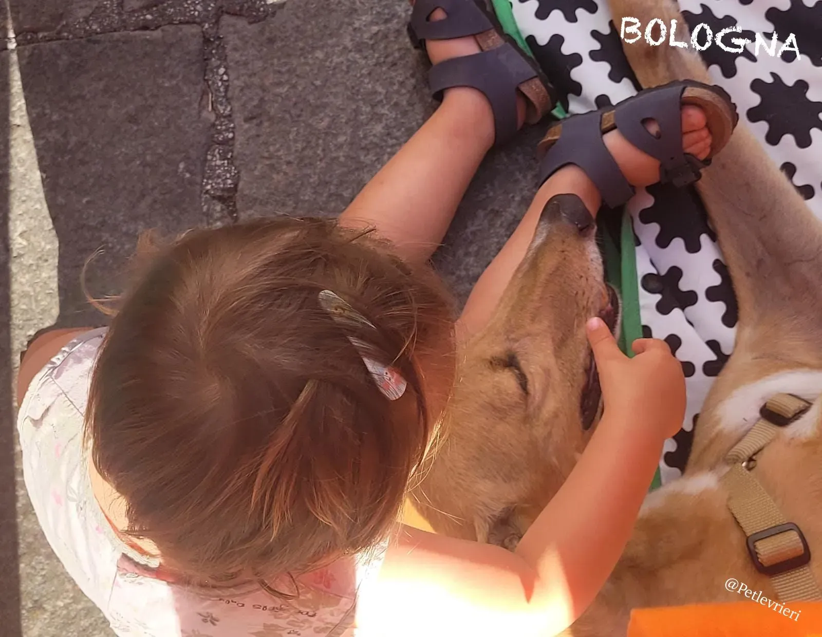 51230264 f51c 46d3 ab77 e283dbbf5017 risultato