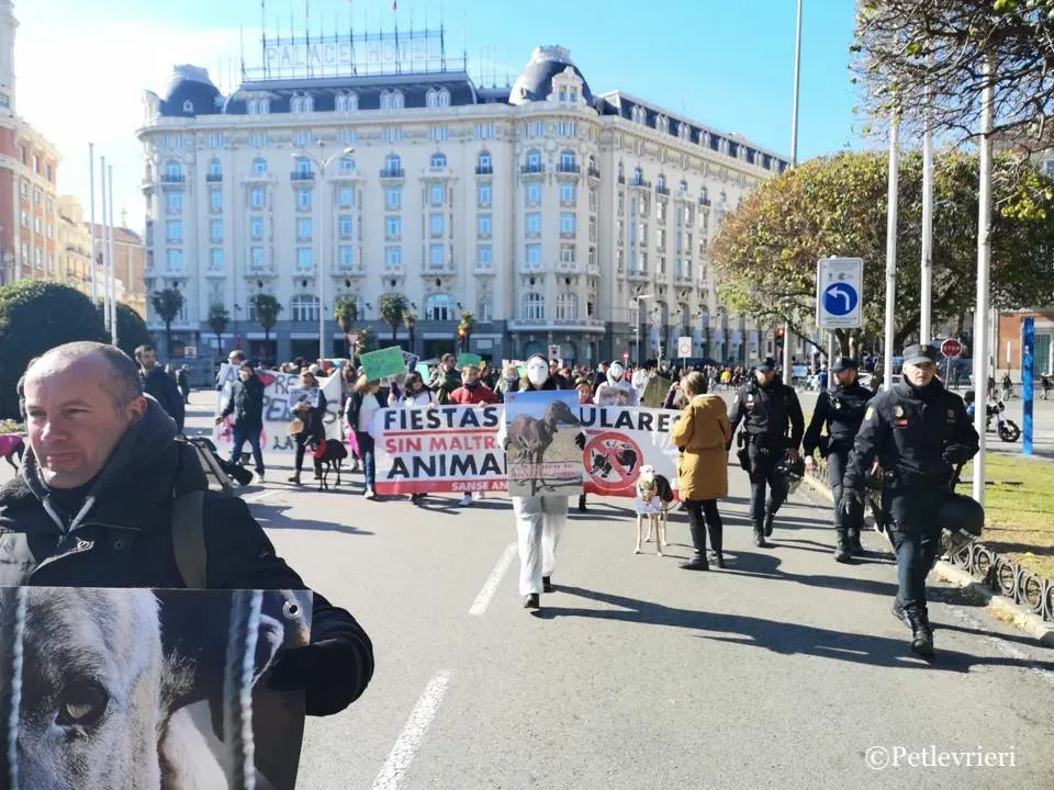 51260242 2099268223490355 3587363106042413056 n