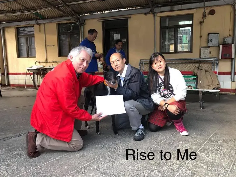 51291844 2089826494434528 1847430227609780224 n