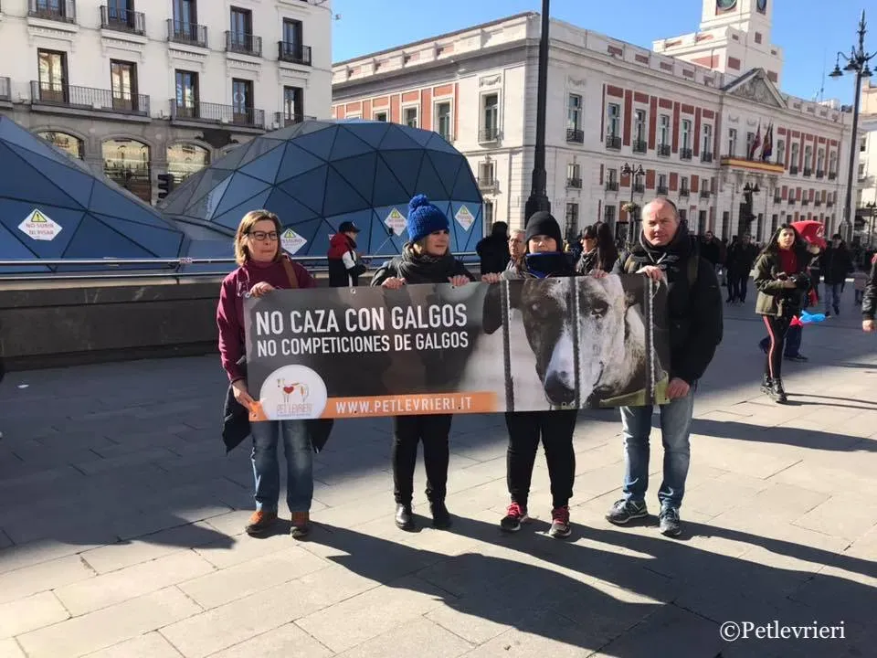 51344534 2099268253490352 2911738486656598016 n