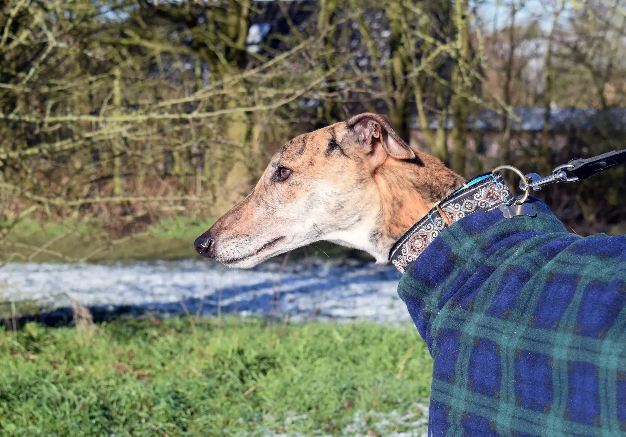 51623605 293659424685313 5276320215934697472 n