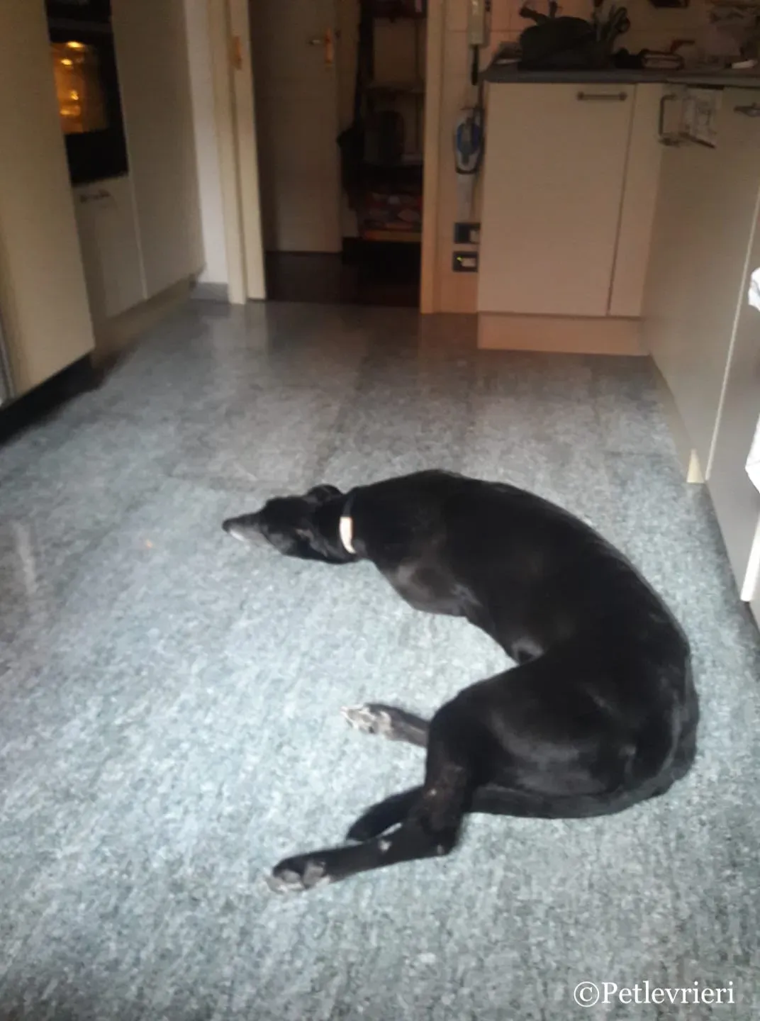 51882841 10216211406670917 8466072764590063616 o