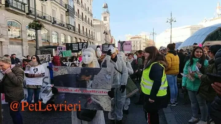 51968806 869748726700306 1318123491752411136 n