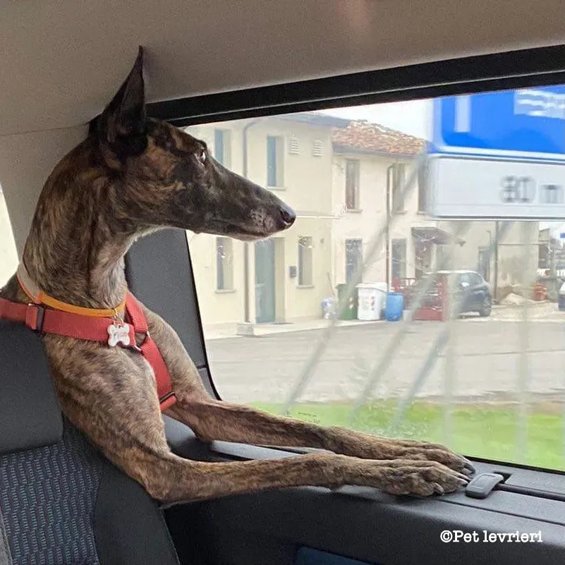 519E9AA3 26B7 44F5 9510 6ED7F2E9E3B8