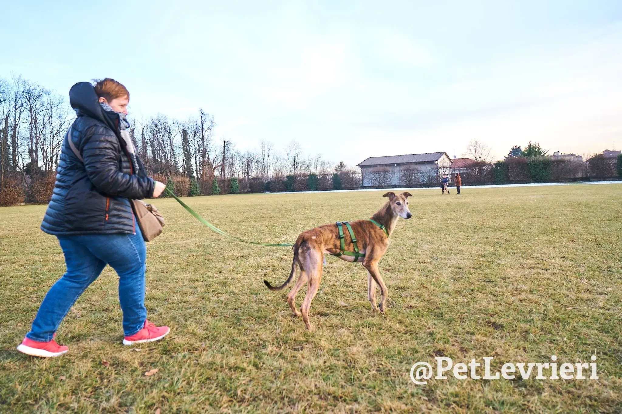 51A13C09 5CAD 4702 95E6 368A30B23423