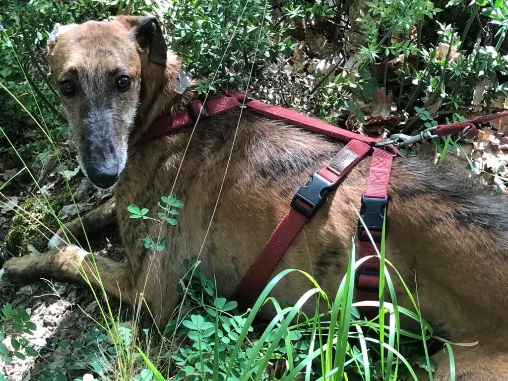 51e92cdc 68c0 4a9f 96f0 7fac3d9a2df9