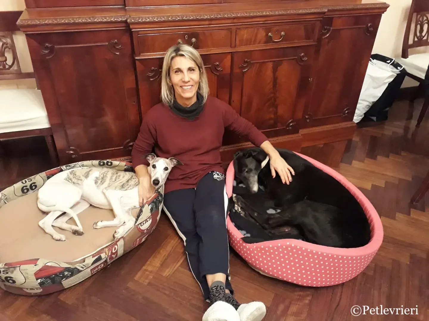 52109802 10216181596285676 5499072578708307968 o