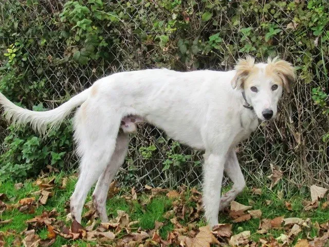 522324 495526047134599 1300217151 n