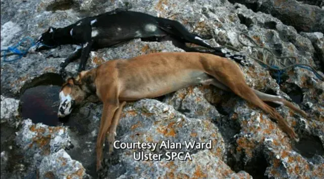 522428 497581806961656 28469834 n