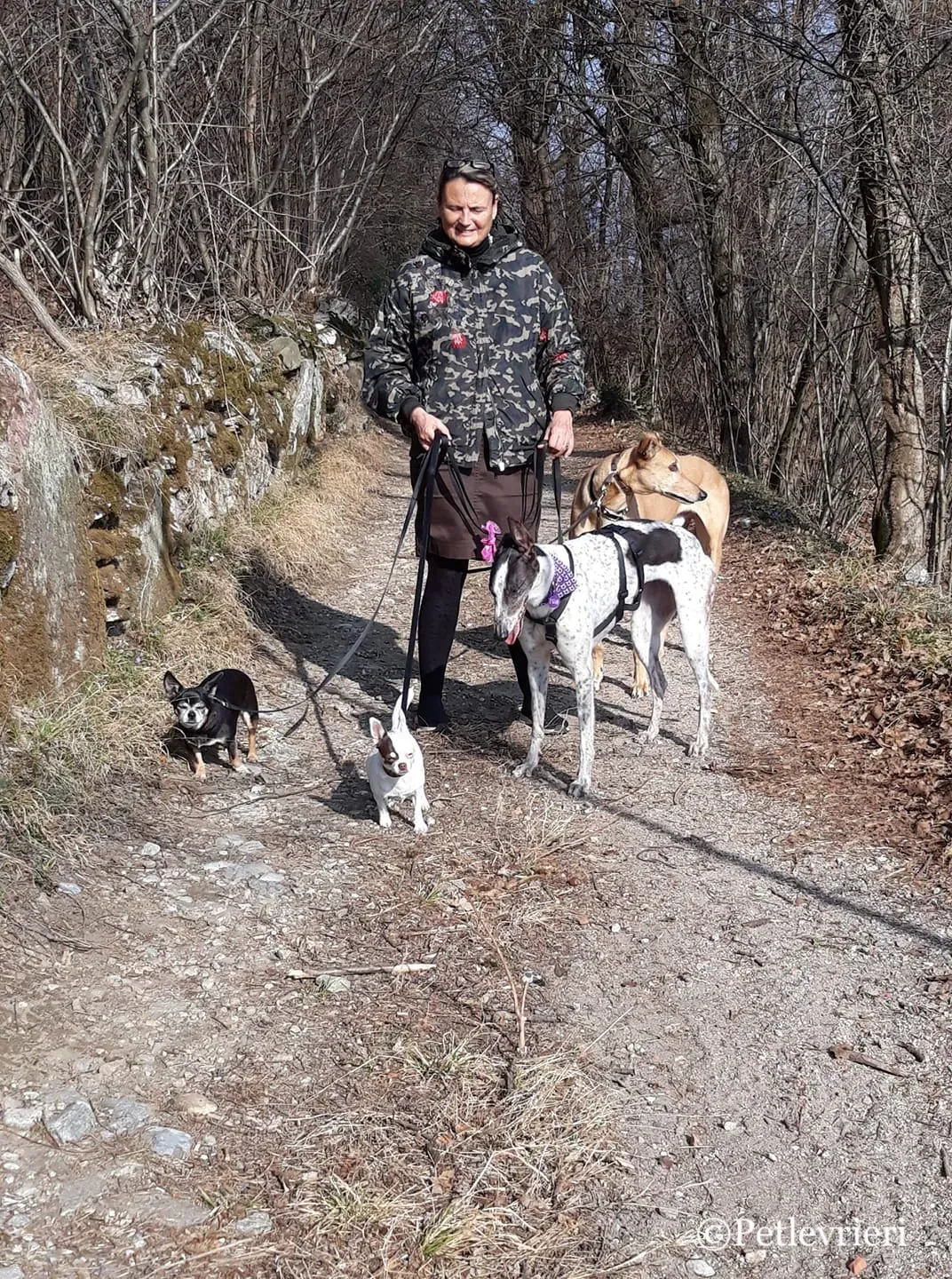 52269982 2140433406015819 1772418748339191808 o