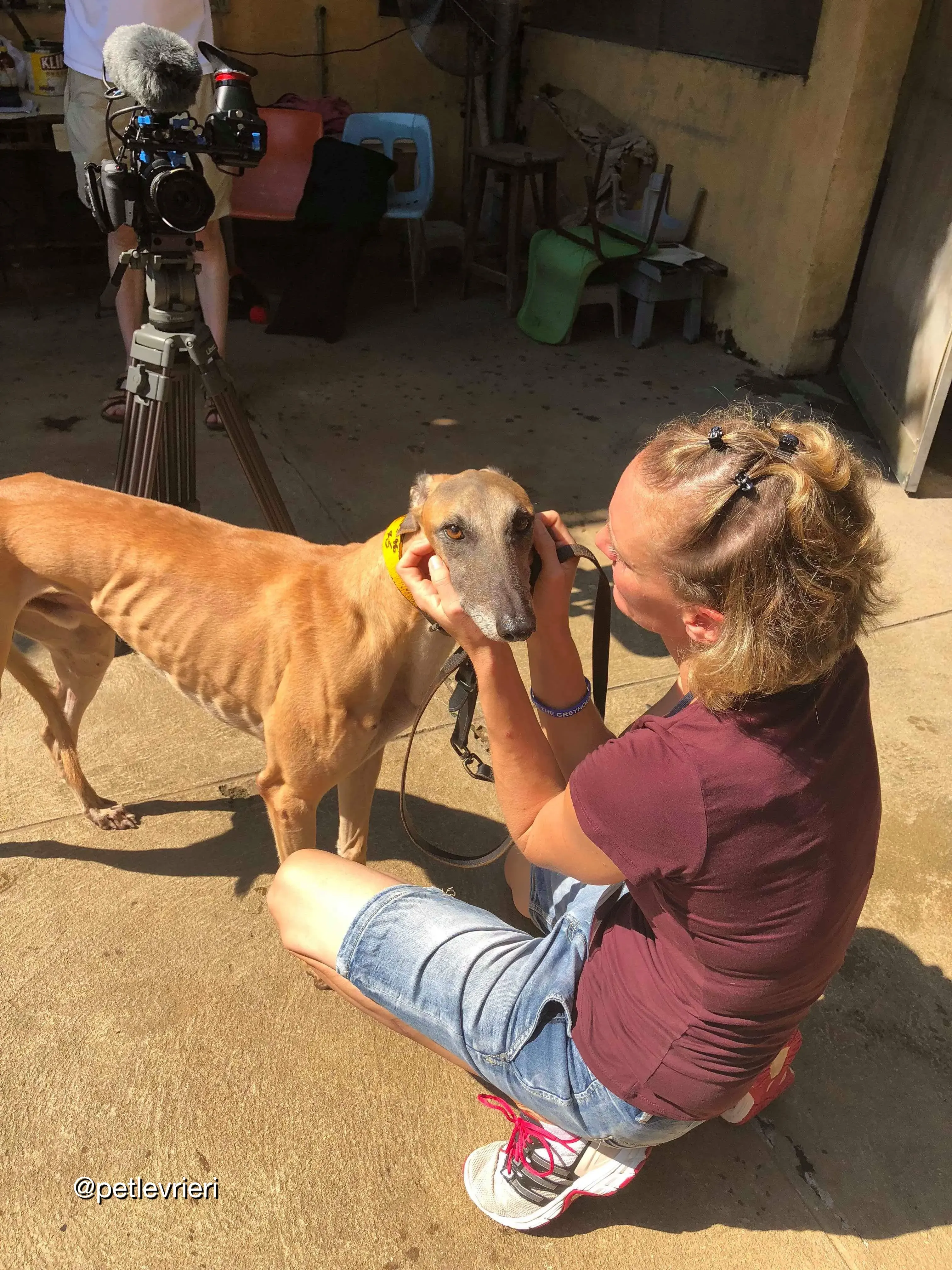 52308F6A 9EDA 41B3 9A49 9BDFD6DEF76F